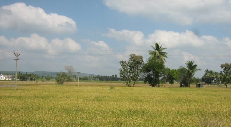 business directory in uthukottai