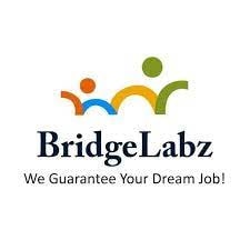 Bridgelabz logo jpg