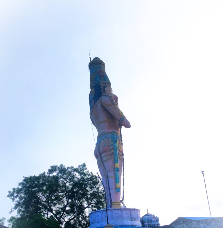 IMG 20220226 181252 768x784