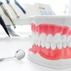 Times Dental 2