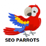 SEO PARROTS BANGLORE s