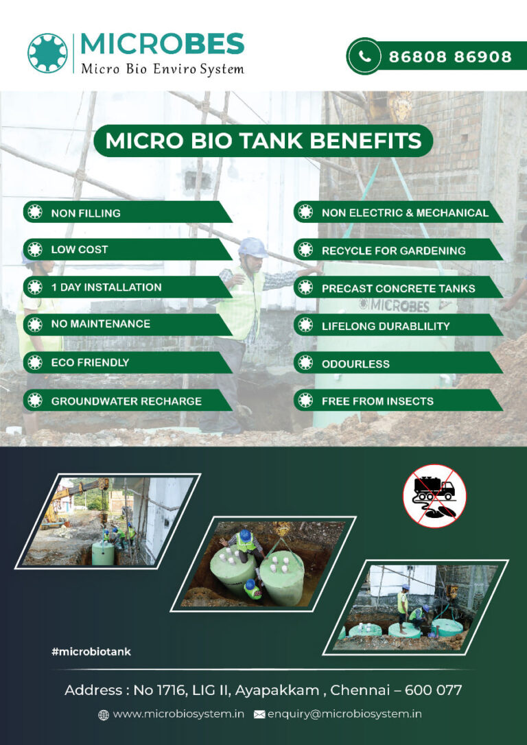 269849142 101243069106008 4872891478092313756 n 768x1086