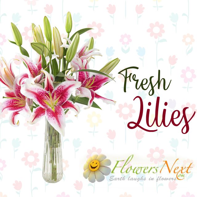 78899838 1731445336987765 7309353439446695936 n