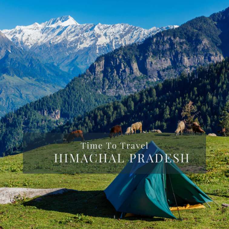 shimla manali tour package honymoon family himachal pradesh