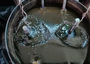  Plant Manufacturer Coimbatore