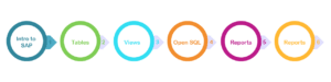 SAP FICO Course in Chennai