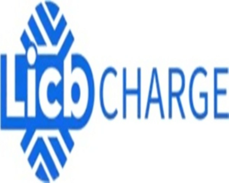 licharger logo pdMxYt 1200900 768x614