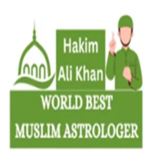 world best muslim astrologer logo