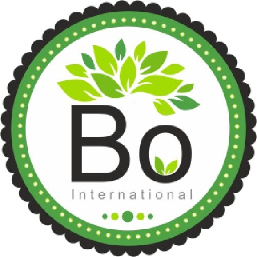 Bo International LoGo