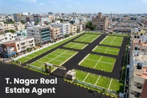 T. Nagar Chennai Real Estate | Buy & Sell Properties 1 t-nagar-real-estate-agent