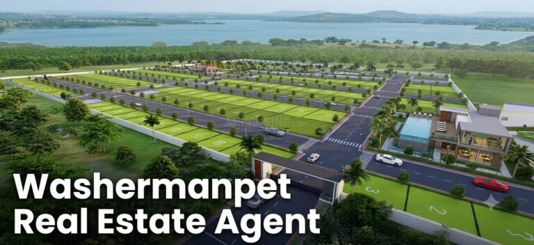 washermanpet real estate agent 1 768x352